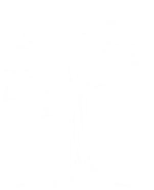 Isologo