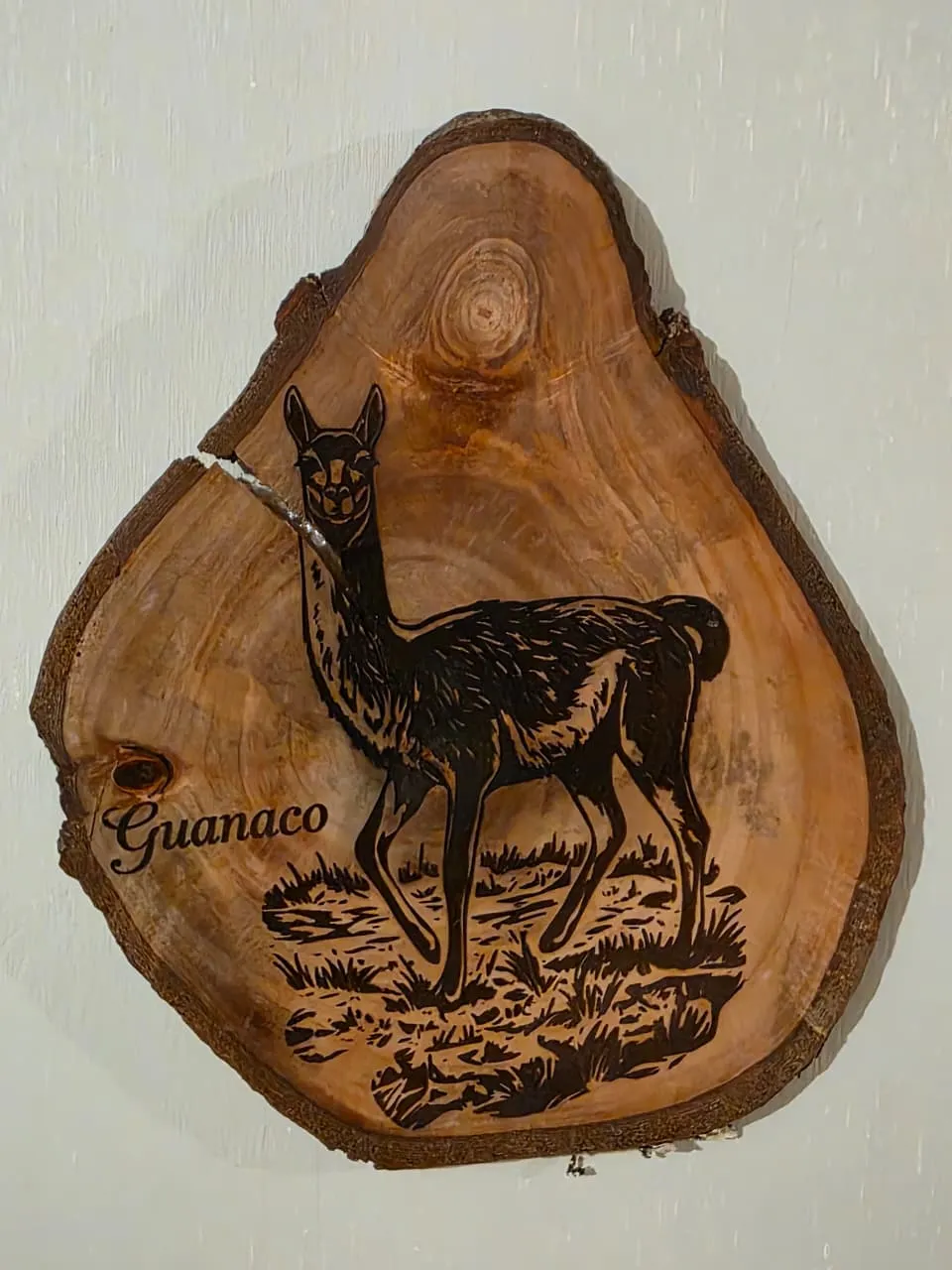 Lienzo Guanaco