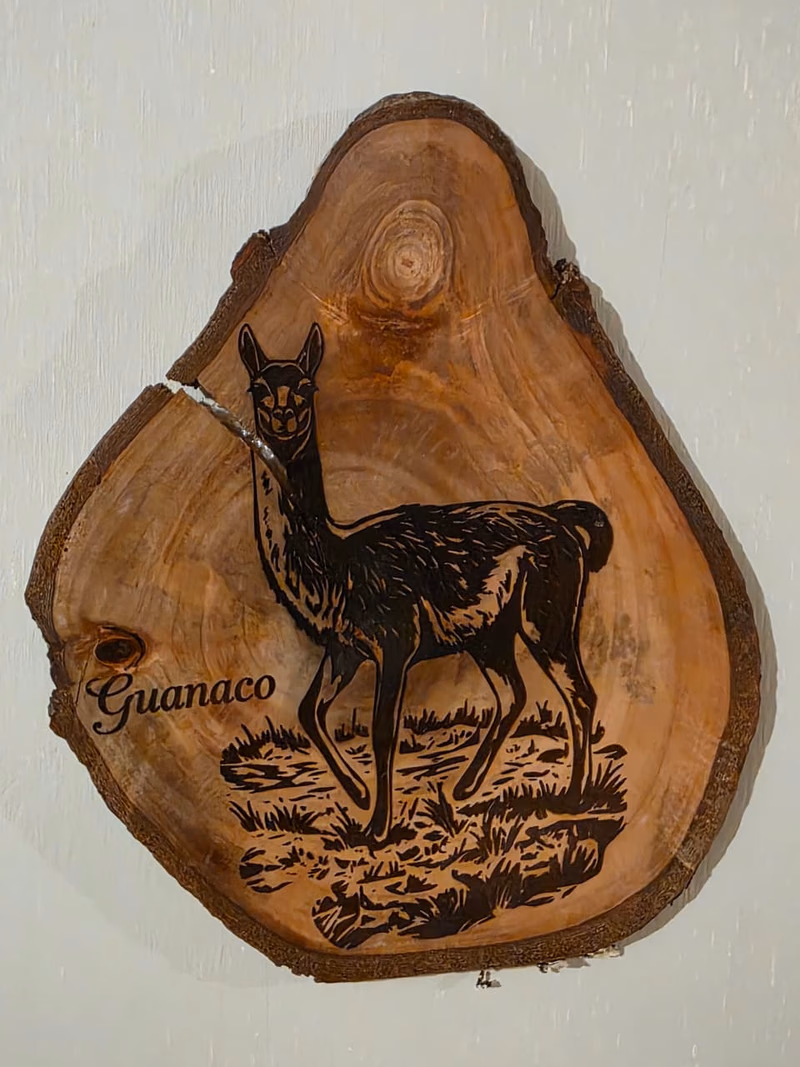 Lienzo Guanaco